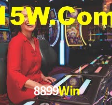 Programa VIP 8899Win