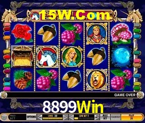 Experiência VIP 8899Win