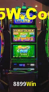 Programa VIP 8899Win