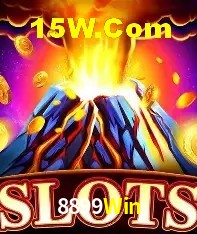 Sistemas de Segurança 8899Win