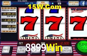 Segurança 2FA 8899Win
